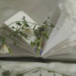 Между порядком и хаосом: что делать, если накопилось много нерешенных дел? 